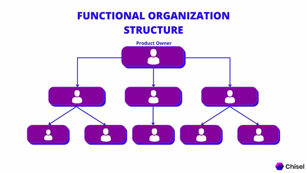 Functional organizational structure