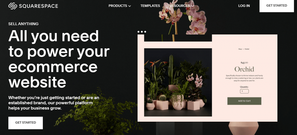 Sqaurespace lets you build a website and take care of ecommerce too. 