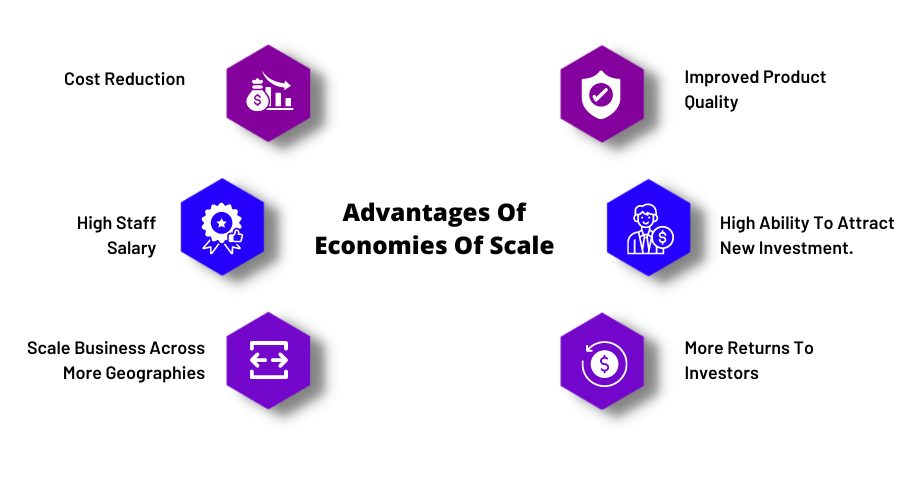 Economy Scales