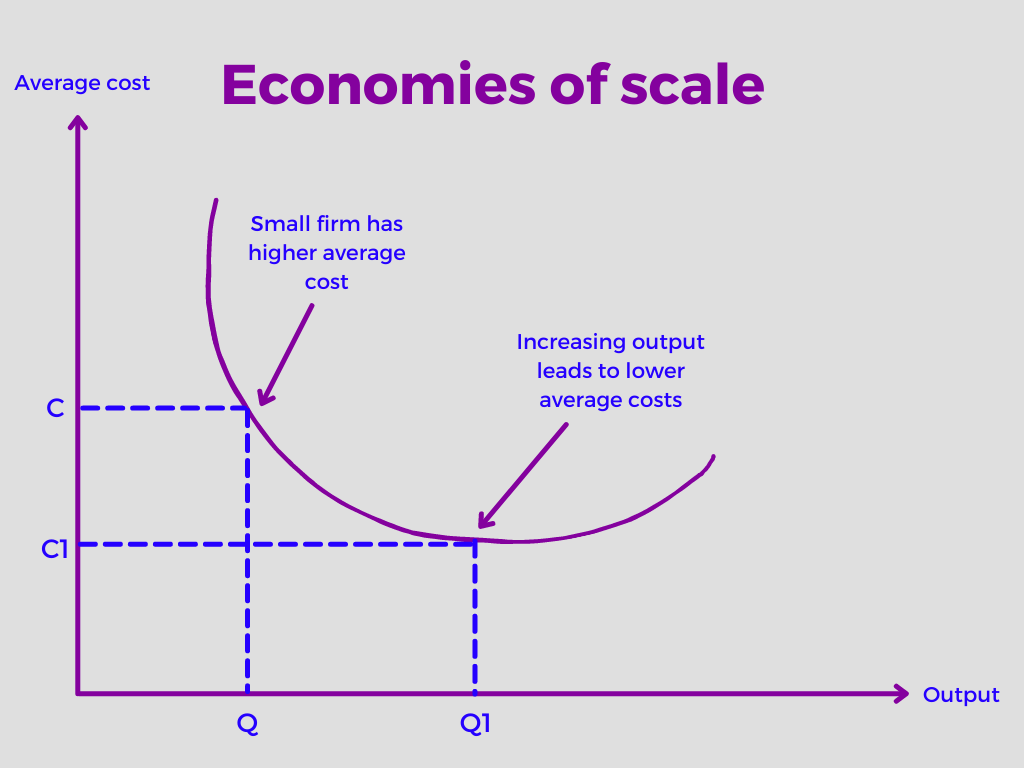 economy of scales bedeutung